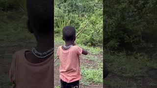 Bow and arrows practical session on progress hadzabetribe [upl. by Ednew]