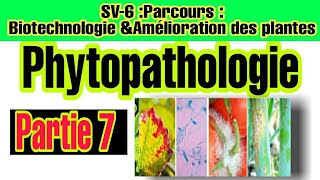 Phytopathologie Partie 7  Les domaines daction de la phytopathologie [upl. by Mlehliw]