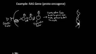 Cancer and Protooncogenes [upl. by Eirot]