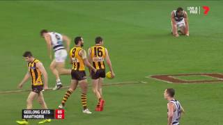 Geelong v Hawthorn  Second Qualifying Final 2016  Last Two Minutes  AFL [upl. by Kleeman243]