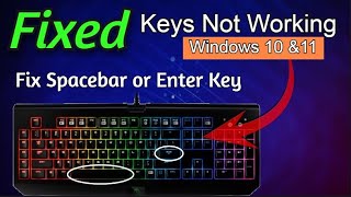 FIX  Keyboard Function Keys Not Working Windows 10 amp 11  Laptop Keyboard Not Working [upl. by Dlaregztif688]