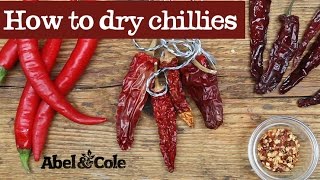 How to dry chillies  Abel amp Cole [upl. by Janeta549]