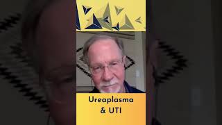 Can Ureaplasma cause UTI [upl. by Dlorag267]