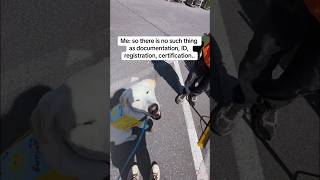 Service dog education 101❤️ servicedog dogtraining dog youtubeshorts shorts esa ytshorts [upl. by Batha]