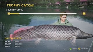 560lb Cobra Trophy Catch  Gillhams Fishing Resort  Fishing Sim World Pro Tour [upl. by Omer]