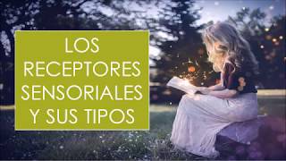 RECEPTORES SENSORIALES Y SUS TIPOS [upl. by Noseyt]