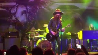 Blackberry Smoke  NEW SONG  Let it Burn [upl. by Ynffit]