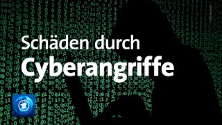 Hackerangriffe Studie identifiziert Milliardenschäden [upl. by Gwennie970]