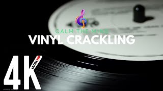 Calm the Mind  Vinyl Crackling Sound Effects [upl. by Elburr765]