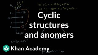 Carbohydrates  cyclic structures and anomers  Chemical processes  MCAT  Khan Academy [upl. by Billmyre484]