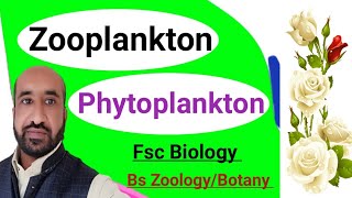 Difference Between Zooplankton amp Phytoplankton in urdu and Hindi Fsc biology Bs zoologyBotany [upl. by Namqul]