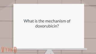 What is the mechanism of doxorubicin [upl. by Yrogreg]