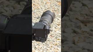 Nikon D5600 Camera Photography with 70300 mm lens photoshoot shorts [upl. by Schlicher]