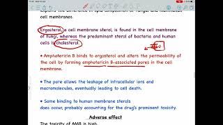 Amphotericin B mechanism of action Antifungal drug [upl. by Cressida]