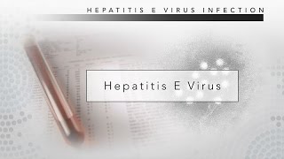 Hepatitis E CDC Viral Hepatitis Serology Training [upl. by Ainoloppa]