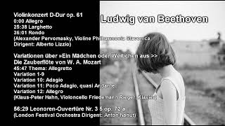 Beethoven Violinkonzert DDur op61Mozart Variationen quotDie Zauberflötequot [upl. by Zimmerman51]