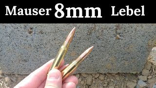 8mm Lebel Vs 8mm Mauser 8x57js [upl. by Harwin50]