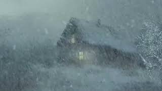 Severe Blizzard amp Blustery Wind Sounds  Relaxing Snow amp Wind Noise for Sleep amp Focus  White Noise [upl. by Erine212]