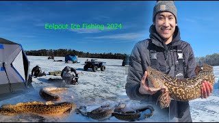 Eelpout Ice Fishing 2024 Episode 2  Nuv Ntses Qav Ntsuab [upl. by Lazar766]