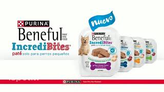 Cope Management Voiceover Andrea Balsa  Purina Beneful Incredibites  Spanish Commercial [upl. by Thisbe533]