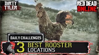 BEST ROOSTER Locations RDR2 Daily Challenges Red Dead Online [upl. by Eerehs602]