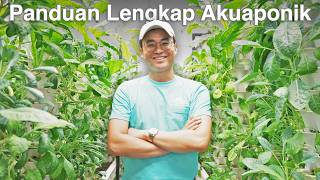 Bagaimana Tanam Sayur amp Bela Ikan Guna Sistem Akuaponik  Amaneco [upl. by Yetsirhc]