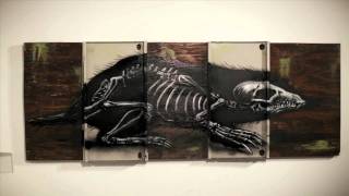 ROA street artist profile film by filmmaker Colin M Day  Warholian [upl. by Kotto]