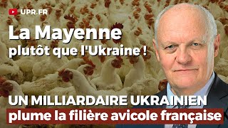 La Mayenne plutôt que lUkraine ou comment un milliardaire ukrainien plume laviculture française [upl. by Ilsa]