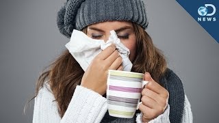 Do We Actually Get Sick More in Winter [upl. by Matthaus459]