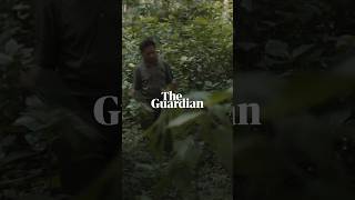 The whistled language of Northern Laos  Birdsong [upl. by Othelia541]