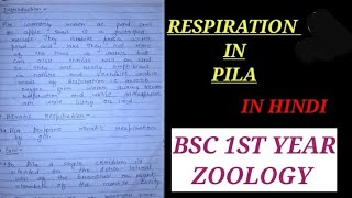 RESPIRATION IN PILA IN HINDI respirationinpilabsc1styearzoology zoologynotes pilarespiration vbu [upl. by Htebzile]