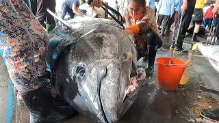 Taiwan street food  400KG giant bluefin Tuna From fishing boat to Table [upl. by Fishback]