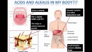 Acids and Alkalis  Body Acids and Alkalis Grade 7 [upl. by Holtz]