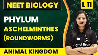 Phylum  Aschelminthes Roundworms  Animal Kingdom  L11  NEET Biology [upl. by Vernon]