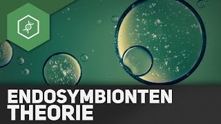 Endosymbiontentheorie [upl. by Aig566]