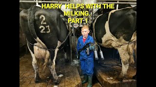 HARRY HELPS WITH THE MILKING PART 1 [upl. by Victorine239]