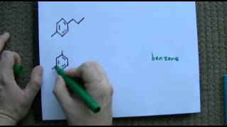 Ortho Meta Para Naming on Benzene [upl. by Seiber]