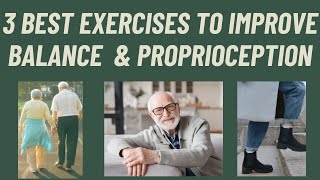 SENIORS 3 BEST EXERCISES TO IMPROVE BALANCE AND PROPRIOCEPTION [upl. by Anegue129]