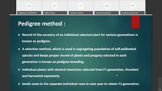 Hybridisation methods in self pollinated crop Part I [upl. by Ahsiet]