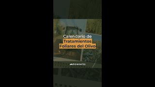 Calendario de TRATAMIENTOS FOLIARES del Olivo [upl. by Gayle]