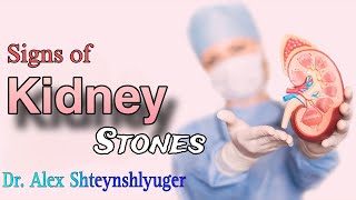 Early Signs Of Kidney Stones  DR Alex  Kidney Problems [upl. by Milone]