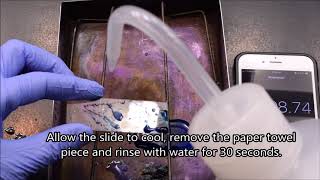 Spore Stain Procedure SchaefferFulton Method [upl. by Ssyla]