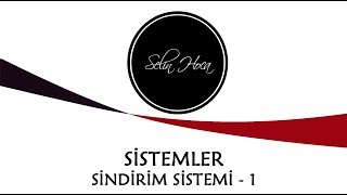 ARŞİV 12 Sindirim Sistemi  Sindirim Sistemi Organları  11 Sınıf Biyoloji AYT 12 [upl. by Rangel277]