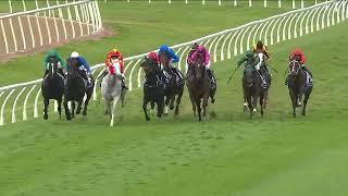 PARISAL WINS THE GOLD RUSH AT HAWKESBURY [upl. by Laine]