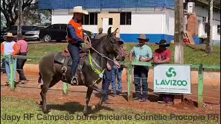 CAMPEÃO CORNELIO PROCOPIO PR [upl. by Atsirc845]