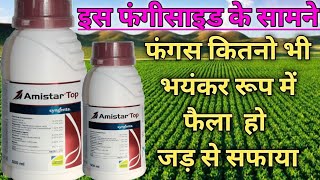 amistar top  amistar top fungicide  syngenta amistar top  amistar fungicide [upl. by Lourdes]