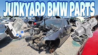 Searching The Junkyard For Parts In Order To Save My Project E39 M5 [upl. by Ecyrb799]