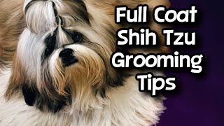 Full Coat Shih Tzu Grooming Tips [upl. by Krever327]