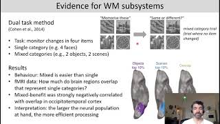 Introduction to Cognitive Neuroscience Session 52 Working memory [upl. by Winthorpe]