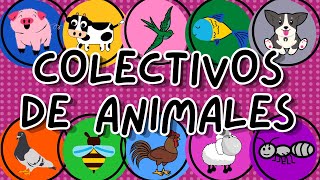 COLECTIVO DE ANIMALES  CONJUNTOS DE ANIMALES [upl. by Ferrick854]